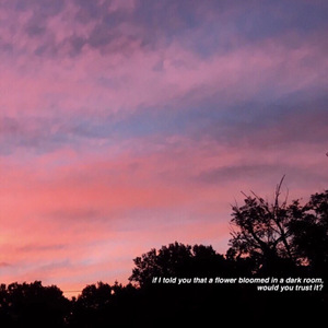 Stocking XXX HD photo
